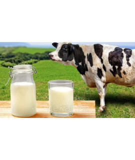 Комплект оборудования для приемки и первичной обработки молока 6000 л/сутки