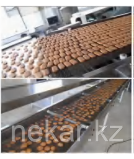 Автоматическая линия по производству мягкого и твёрдого печенья